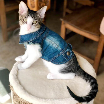 XS-2XL Denim Dog Clothes Cowboy Pet Dog Coat Puppy Clothing For Small Dogs Jeans Jacket Dog Vest Coat Puppy Outfits Cat Clothes