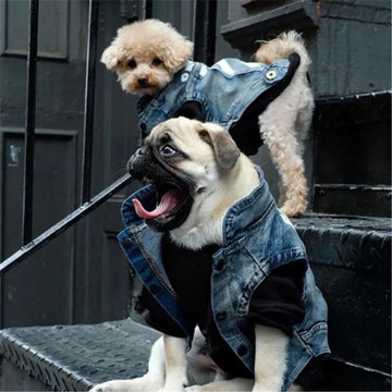 Denim Dog Clothes Cowboy Pet Dog Coat Puppy Clothing For Small Dogs Jeans Jacket Dog Vest Coat Puppy Outfits Cat Clothes B725